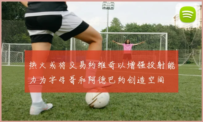 热火或将交易约维奇以增强投射能力为字母哥和阿德巴约创造空间