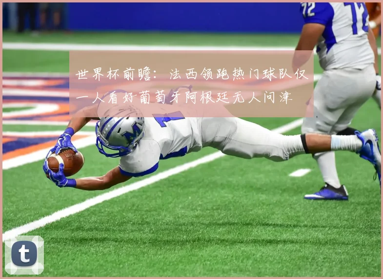 世界杯前瞻：法西领跑热门球队仅一人看好葡萄牙阿根廷无人问津